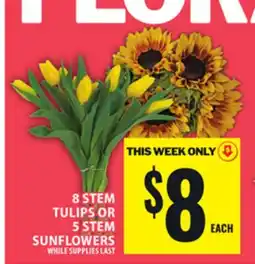 Food Basics 8 STEM TULIPS OR 5 STEM SUNFLOWERS offer