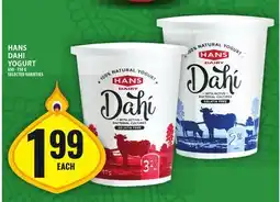 Food Basics HANS DAHI YOGURT offer