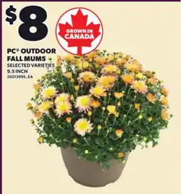 Loblaws PC OUTDOOR FALL MUMS offer