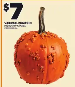 Loblaws VARIETAL PUMPKIN offer