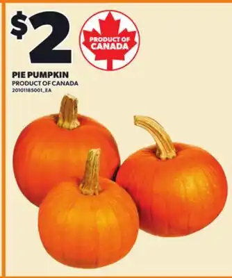 Loblaws PIE PUMPKIN offer