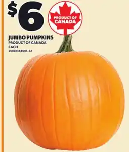 Loblaws JUMBO PUMPKINS offer