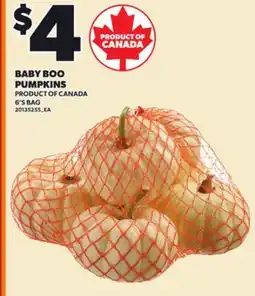 Loblaws BABY BOO PUMPKINS, 6'S BAG offer