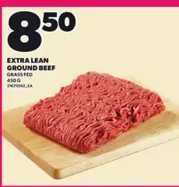 Loblaws EXTRA LEAN GROUND BEEF, 450 G offer