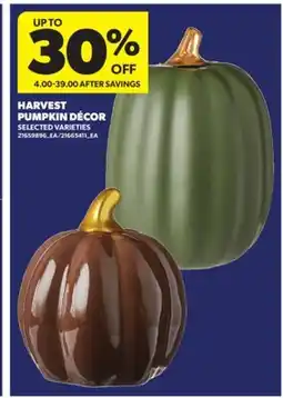 Real Canadian Superstore HARVEST PUMPKIN DÉCOR offer