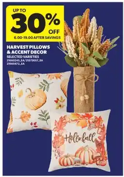 Real Canadian Superstore HARVEST PILLOWS & ACCENT DECOR offer