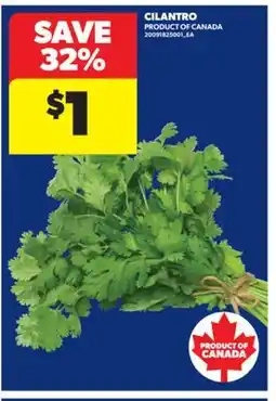 Real Canadian Superstore CILANTRO offer