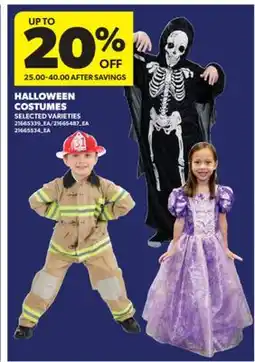 Real Canadian Superstore HALLOWEEN COSTUMES offer