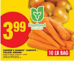No Frills FARMER'S MARKET CARROTS OR YELLOW ONIONS, 10 LB BAG offer