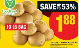 No Frills FOODLAND ONTARIO YELLOW or WHITE POTATOES, 10 LB BAG offer