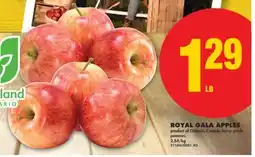 No Frills ROYAL GALA APPLES offer