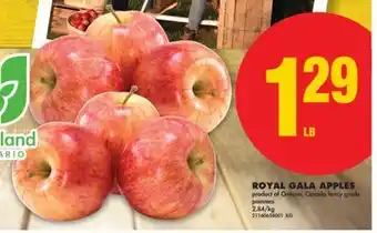 No Frills ROYAL GALA APPLES offer