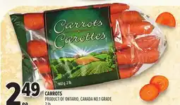 Metro CARROTS offer