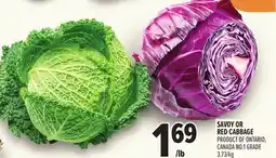 Metro SAVOY OR RED CABBAGE offer