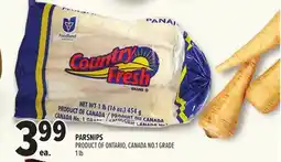 Metro PARSNIPS offer