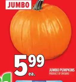 Metro JUMBO JUMBO PUMPKINS offer