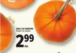 Metro SMALL PIE PUMPKINS offer
