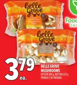 Metro BELLE GROVE MUSHROOMS offer