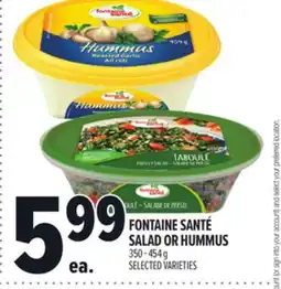 Metro FONTAINE SANTÉ SALAD OR HUMMUS offer