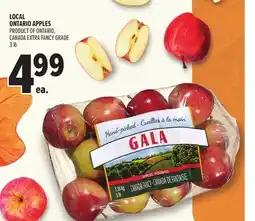 Metro LOCAL ONTARIO APPLES offer