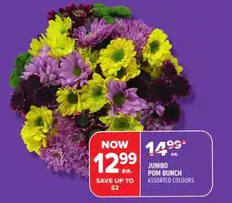 Metro JUMBO POM BUNCH offer