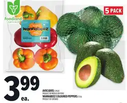 Metro AVOCADOS, WANNABEEZ COLOURED PEPPERS offer