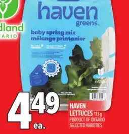 Metro HAVEN LETTUCES offer