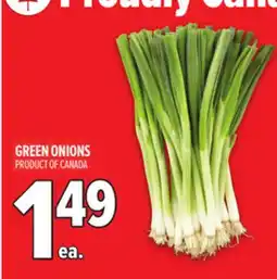 Metro GREEN ONIONS offer