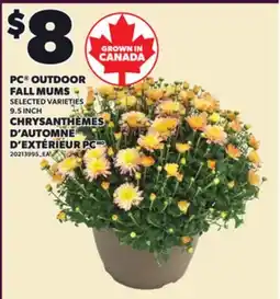 Independent Grocer PC OUTDOOR FALL MUMS 9.5 INCH offer
