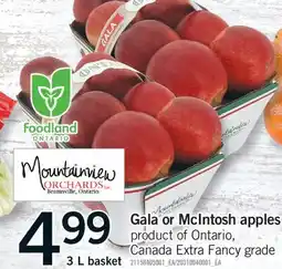 Fortinos GALA OR MCINTOSH APPLES, 3 L BASKET offer