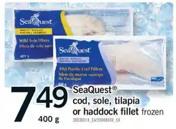 Fortinos SEAQUEST COD, SOLE, TILAPIA OR HADDOCK FILLET, 400 G offer
