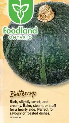 Fortinos SQUASH offer