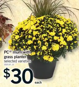 Fortinos PC MUM WITH GRASS PLANTER offer