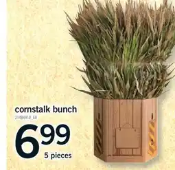 Fortinos CORNSTALK BUNCH, 5 pieces offer