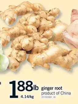 Fortinos GINGER ROOT offer