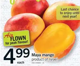 Fortinos MAYA MANGO offer