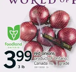 Fortinos RED ONIONS, 3 LB offer