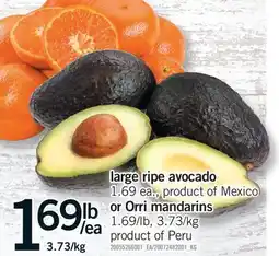 Fortinos LARGE RIPE AVOCADO 1.69 EA. OR OR ORRI MANDARINS 1.69/LB, 3.73/KG offer