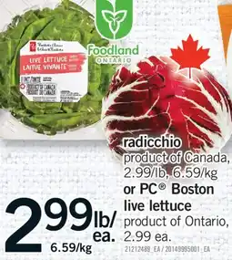 Fortinos RADICCHIO OR PC BOSTON LIVE LETTUCE offer