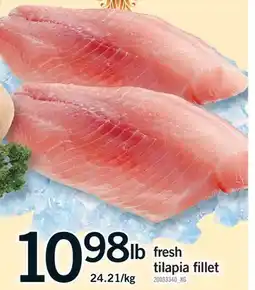 Fortinos FRESH TILAPIA FILLET offer
