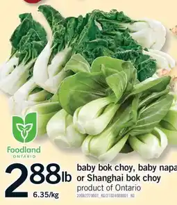 Fortinos BABY BOK CHOY, BABY NAPA OR SHANGHAI BOK CHOY offer