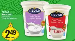 Food Basics CEDAR YOGOURT offer