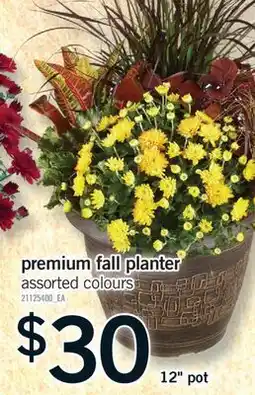 Fortinos PREMIUM FALL PLANTER, 12 POT offer