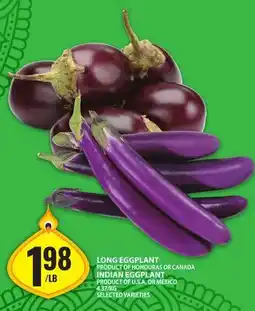 Food Basics LONG EGGPLANT | INDIAN EGGPLANT offer