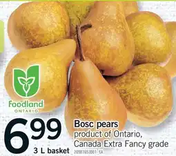 Fortinos BOSC PEARS, 3 L BASKET offer