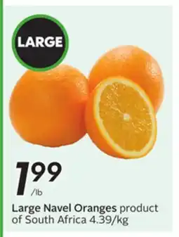 Sobeys Large Navel Oranges offer