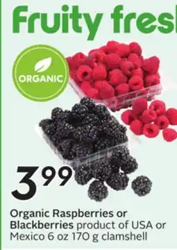 Sobeys Organic Raspberries or Blackberries offer