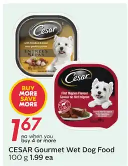 Sobeys CESAR Gourmet Wet Dog Food offer