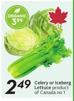 Sobeys Celery or Iceberg Lettuce offer