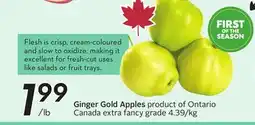 Sobeys Ginger Gold Apples - Apple Fest offer